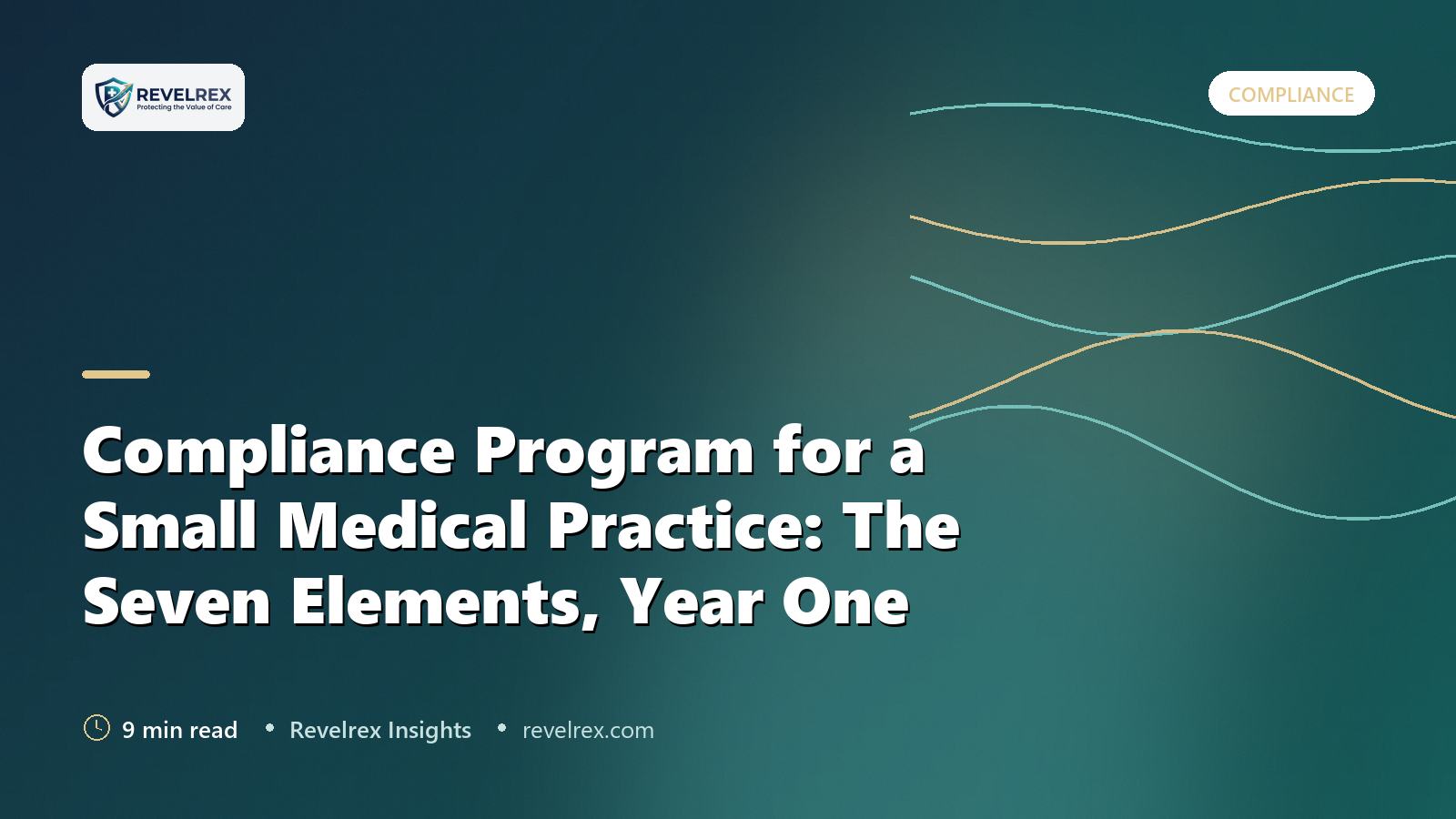 Compliance Program for a Small Medical Practice: The Seven Elements, Year One